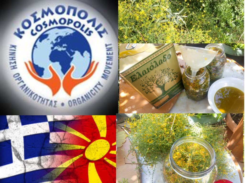 Κίνηση-Οργανικότητας-ΚΟΣΜΟΠΟΛΙΣ-Εκδήλωση:-Σπαθόχορτο-ή-υπερικός,-βαλσαμέλαιο-και-Σκοπιανό